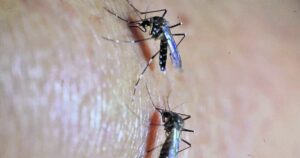 ¿Cuánto gasta Guatemala en combatir el zancudo que transmite el dengue y chinkungunya? 